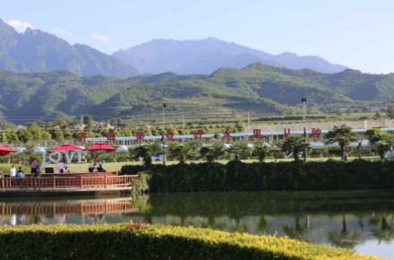 The provincial federation of trade unions visited Qifeng fruit industry for research and guidance